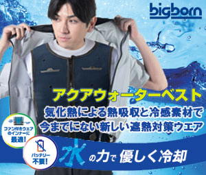 ビッグボーン